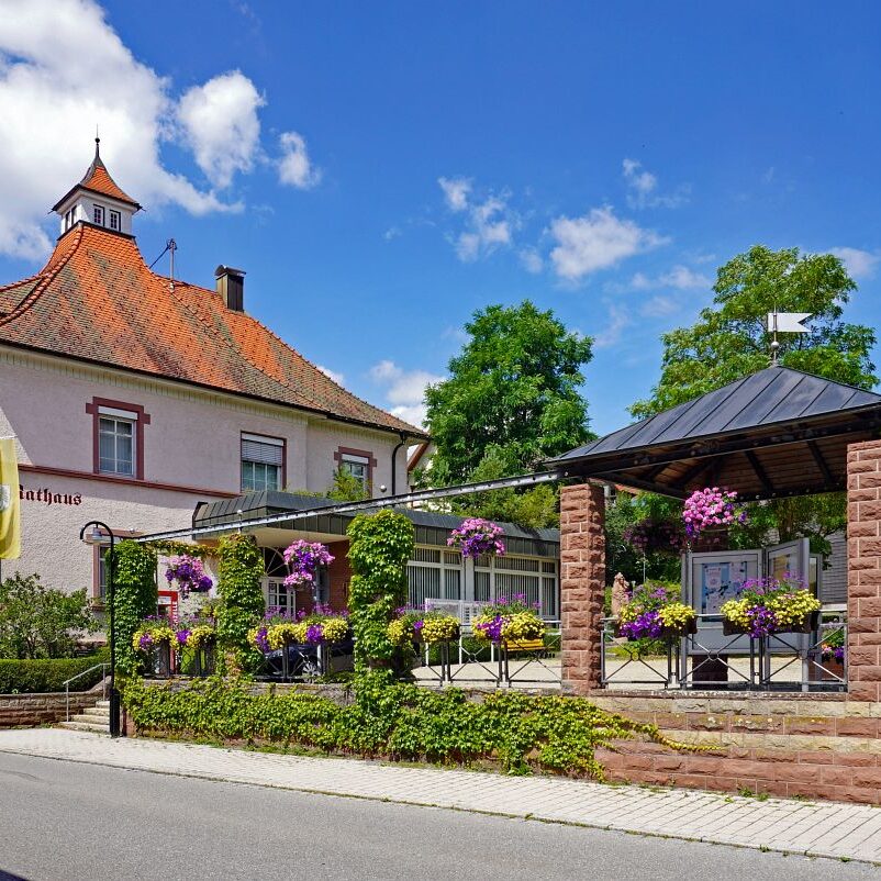 Tennenbronn Dorf 2