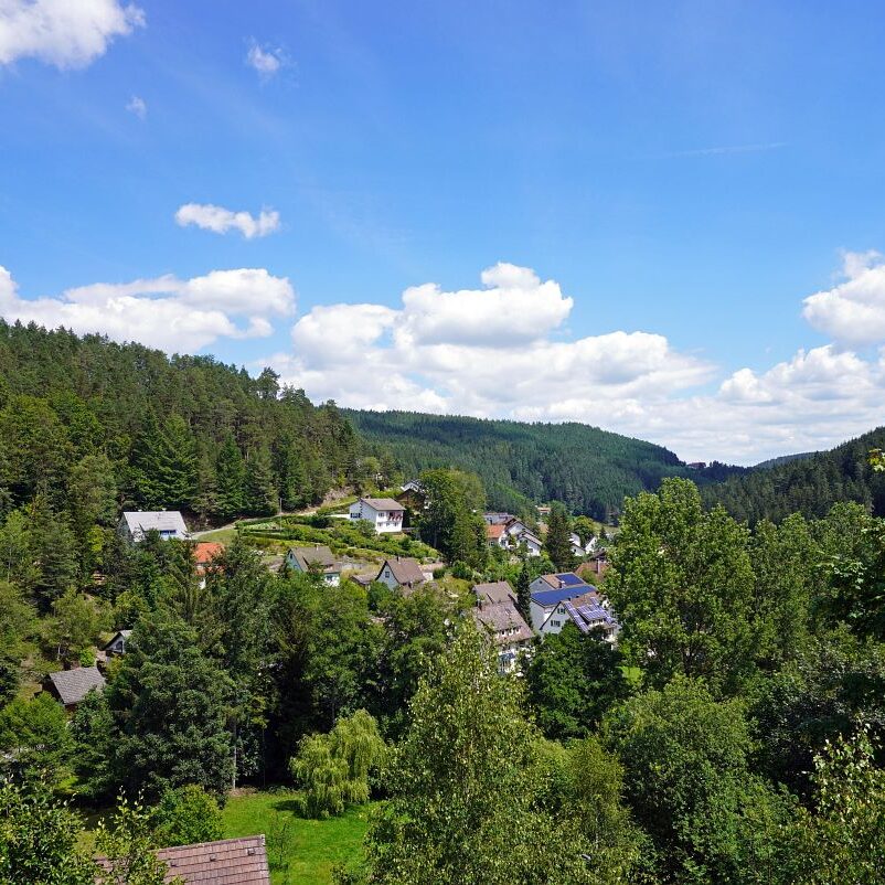 Tennenbronn Dorf 25
