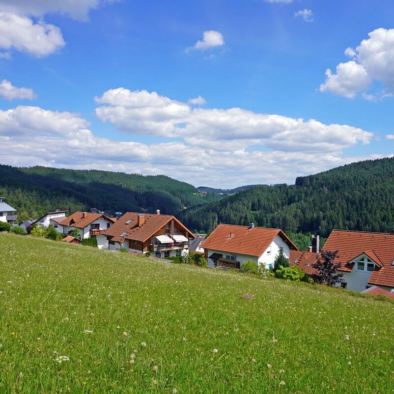 Tennenbronn Dorf 27