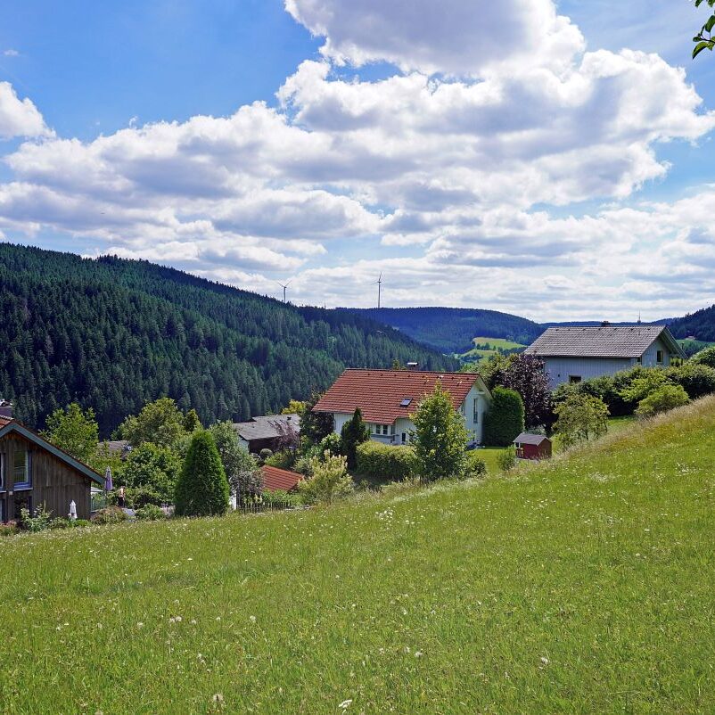 Tennenbronn Dorf 28