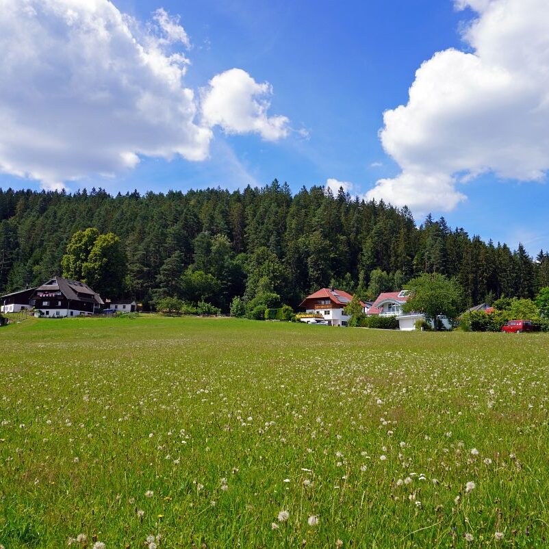 Tennenbronn Dorf 29