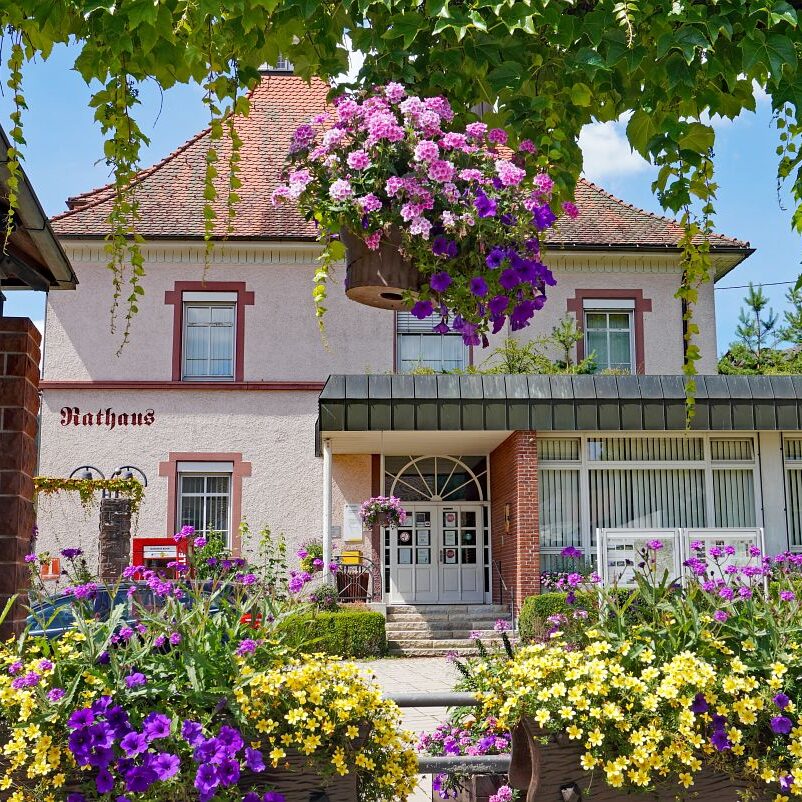 Tennenbronn Dorf 3