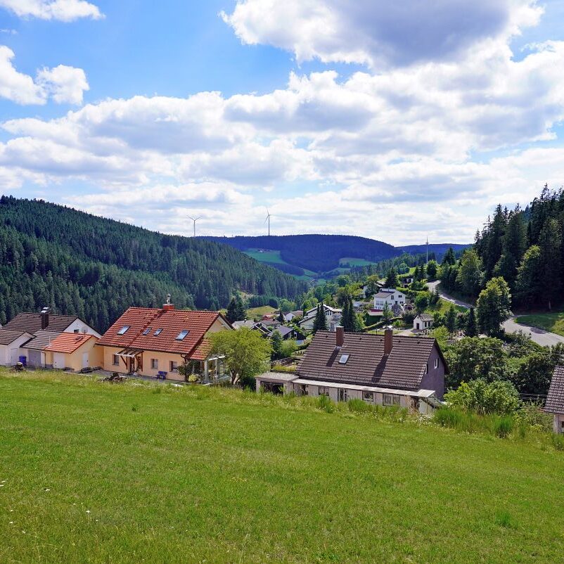 Tennenbronn Dorf 30
