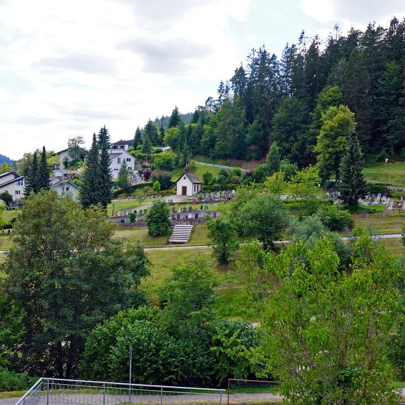 Tennenbronn Dorf 31