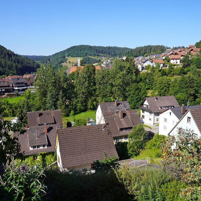 Tennenbronn Dorf 33