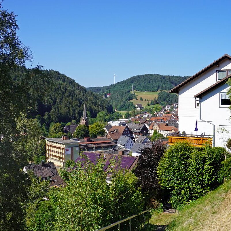 Tennenbronn Dorf 34