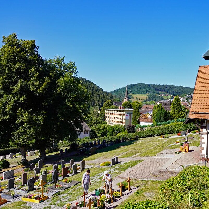 Tennenbronn Dorf 35