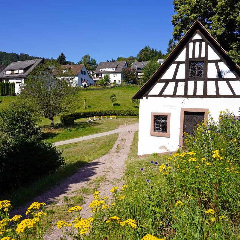 Tennenbronn Dorf 37
