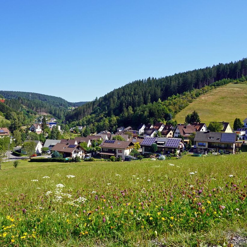 Tennenbronn Dorf 38