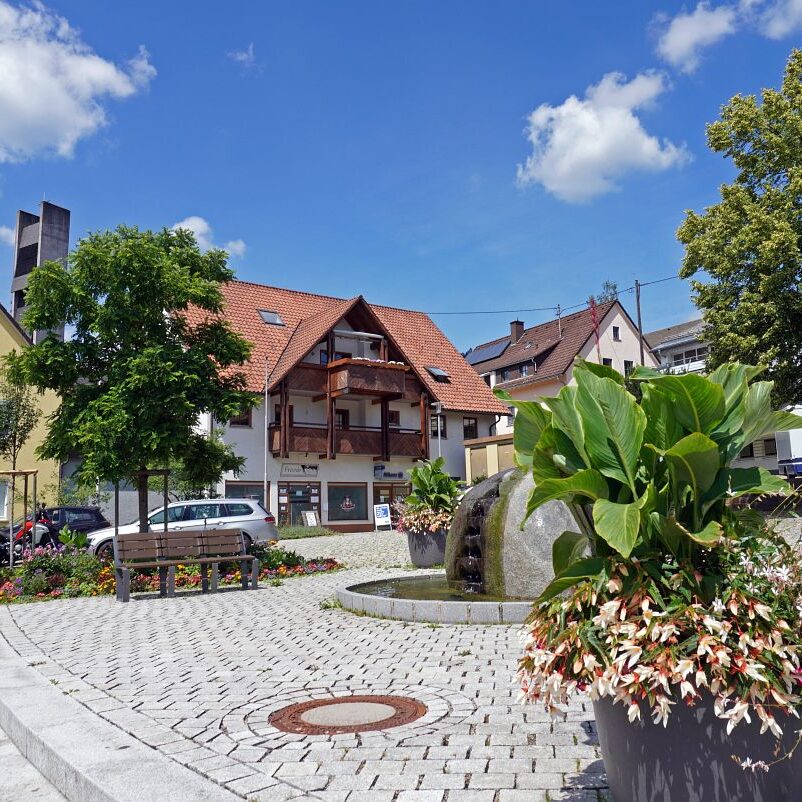 Tennenbronn Dorf 9