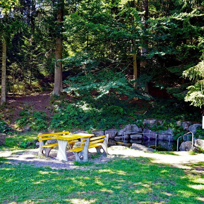 Wassertretanlage Kropfbrunnen 11