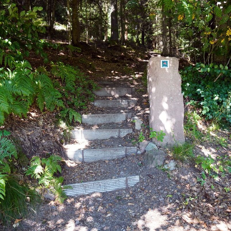 Wassertretanlage Kropfbrunnen 12