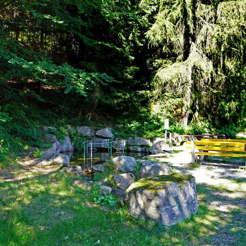 Wassertretanlage Kropfbrunnen 4