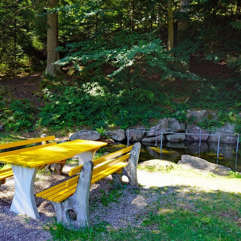 Wassertretanlage Kropfbrunnen 5