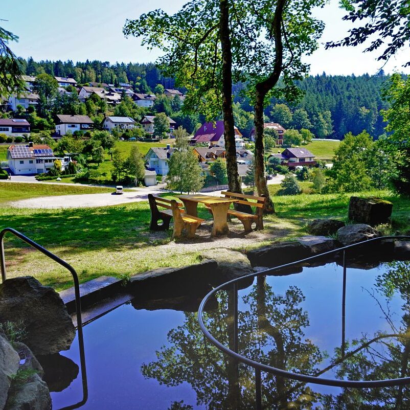 Wassertretanlage Kropfbrunnen 8