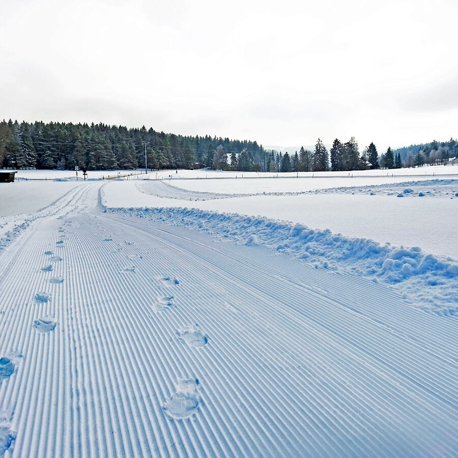 Winterwandern Tennenbronn
