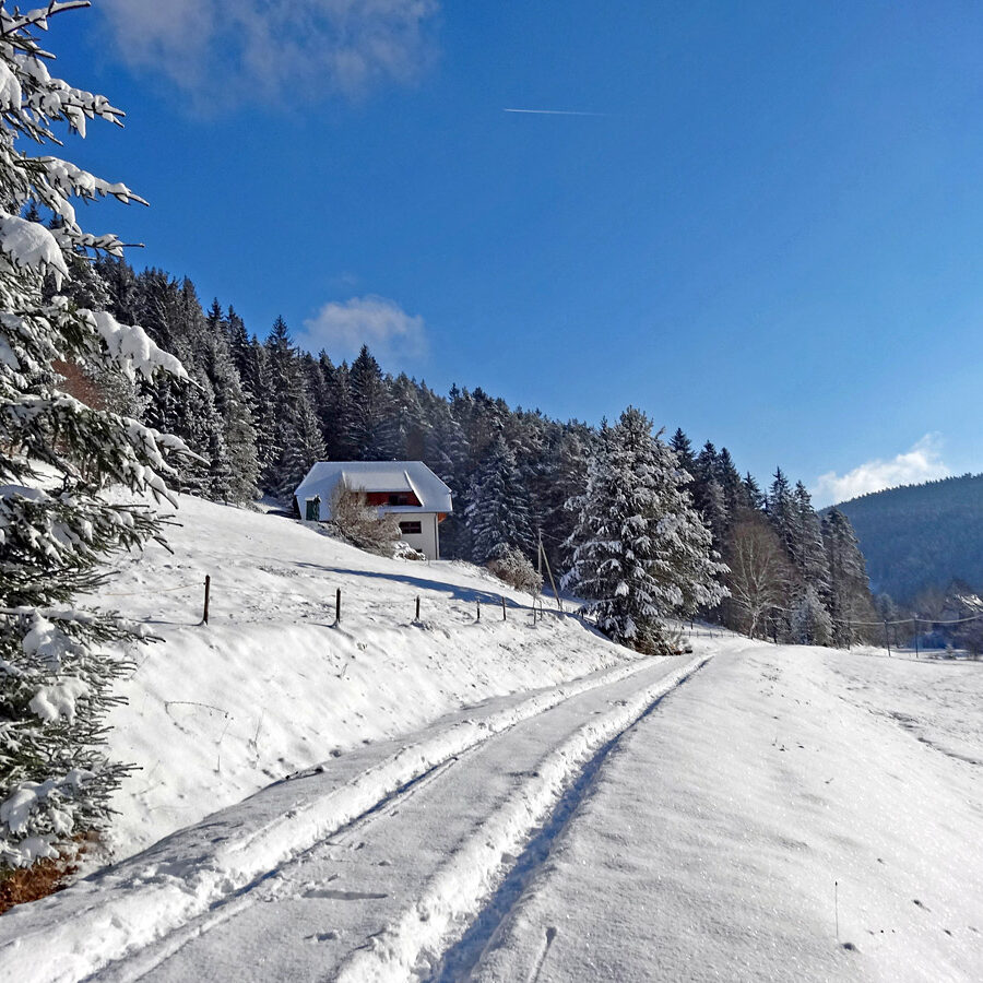 Winterwandern Tennenbronn