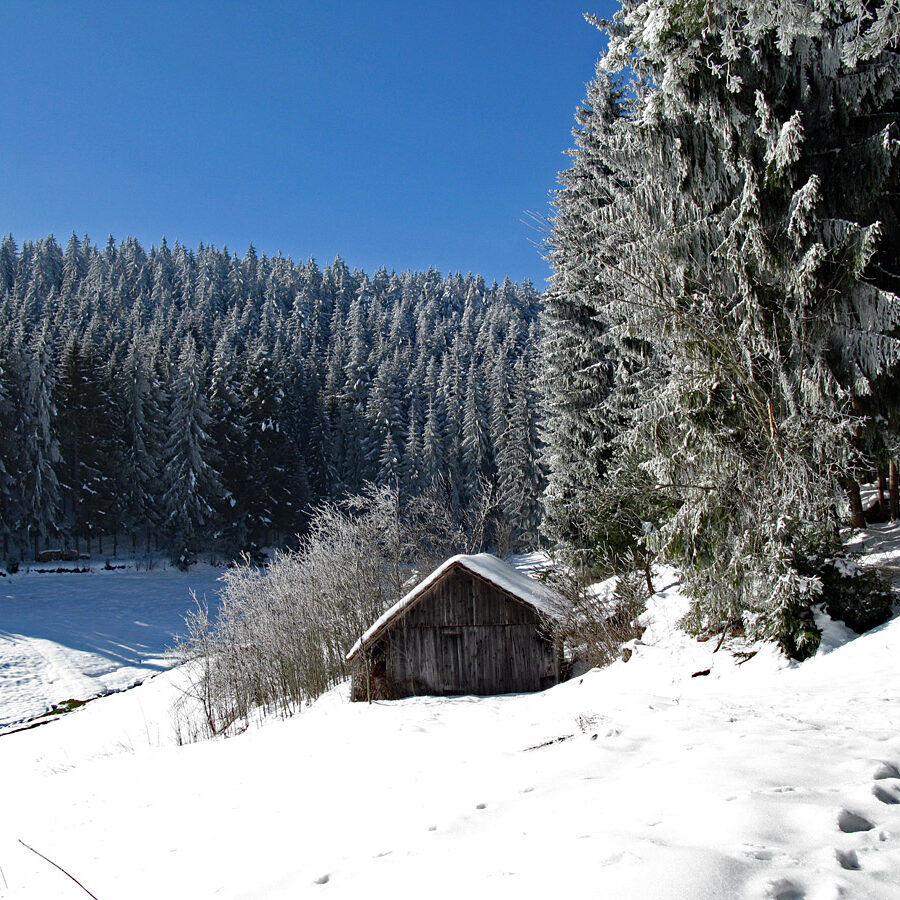 Winterwandern Tennenbronn