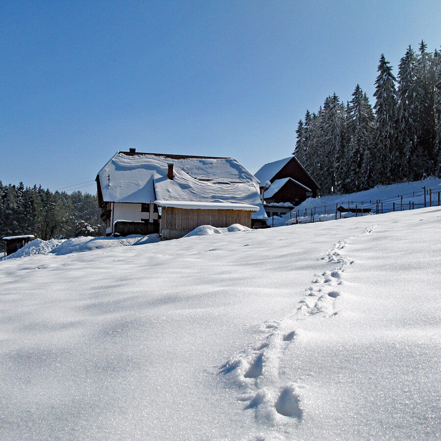 Winterwandern Tennenbronn