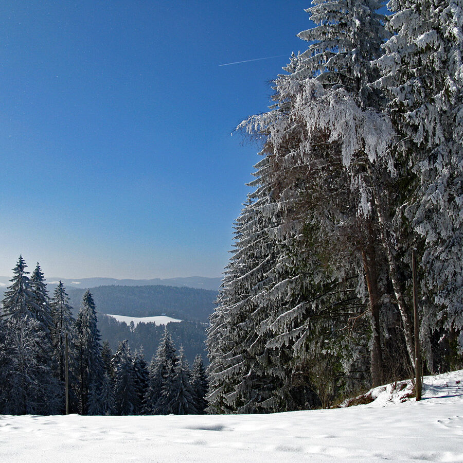 Winterwandern Tennenbronn