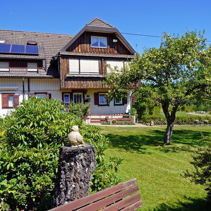 Apfelbaeume in Tennenbronn 18