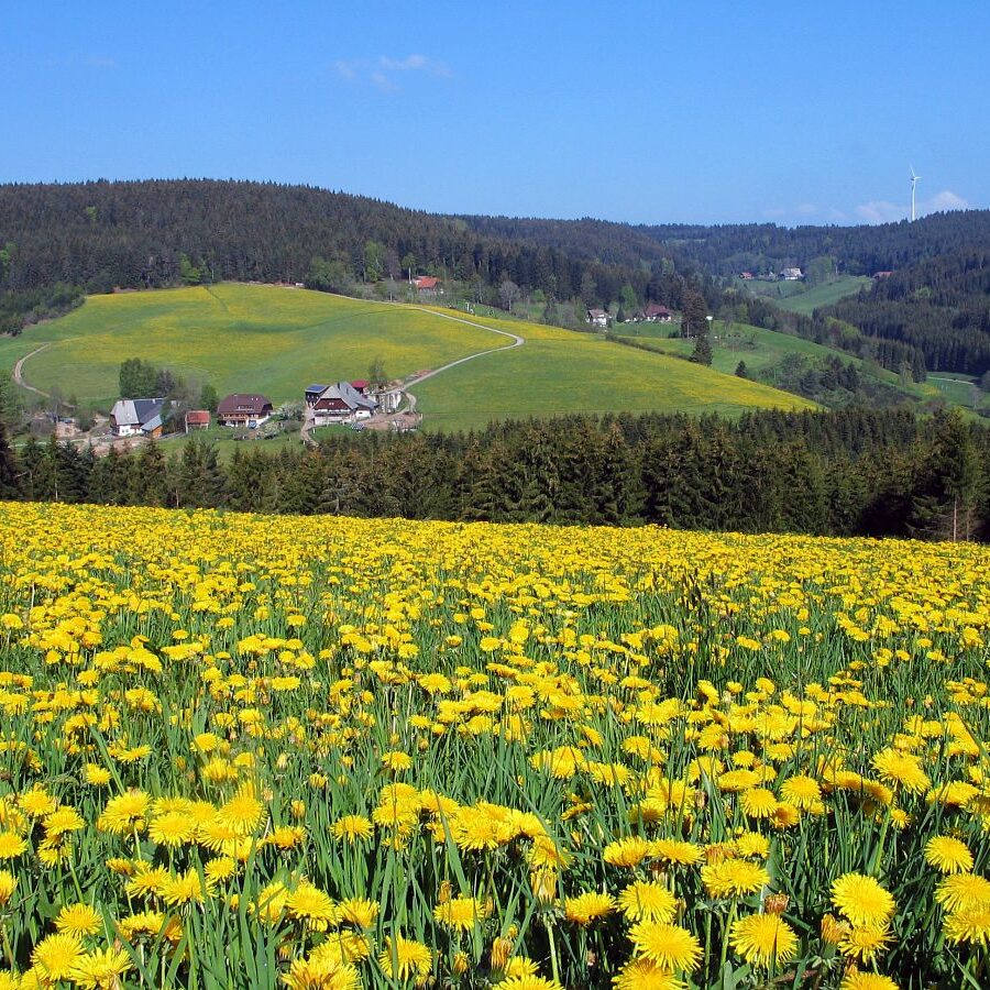 Hub Kohlwald Runde 10