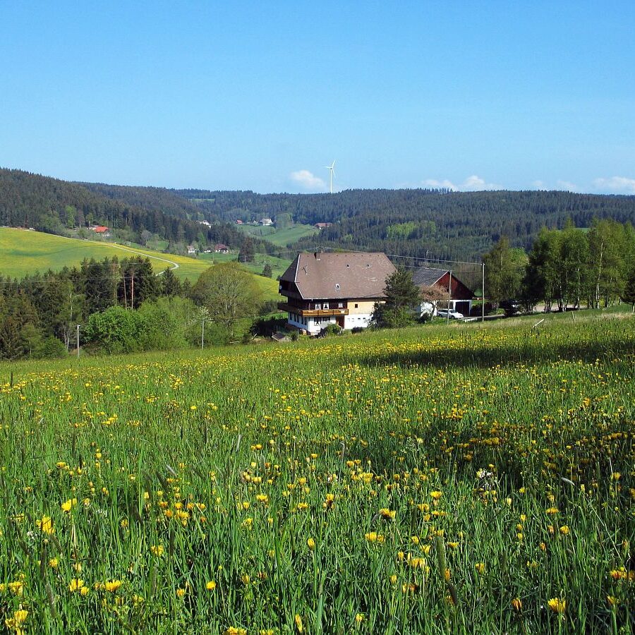 Hub Kohlwald Runde 11