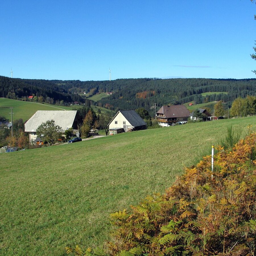 Hub Kohlwald Runde 12