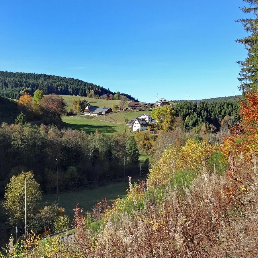 Hub Kohlwald Runde 13