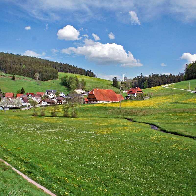 Hub Kohlwald Runde 14