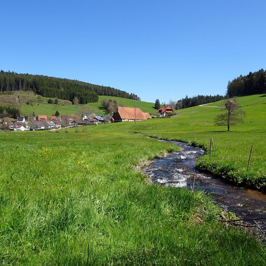 Hub Kohlwald Runde 15