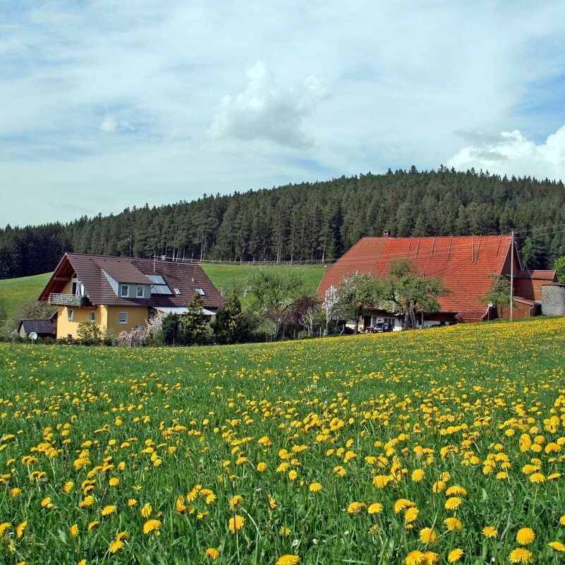 Hub Kohlwald Runde 3