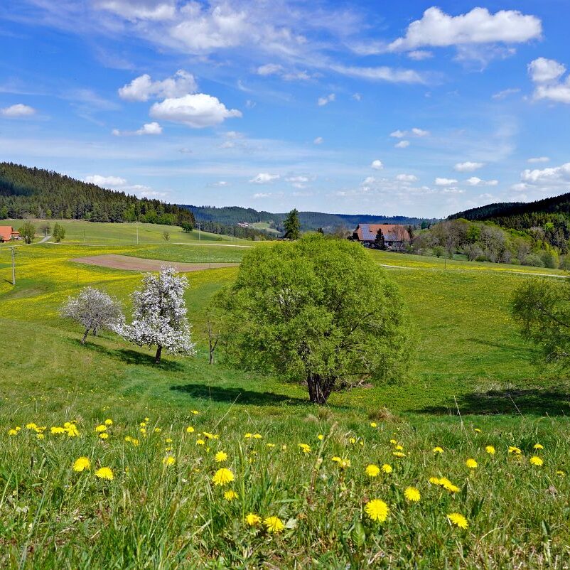 Hub Kohlwald Runde 5