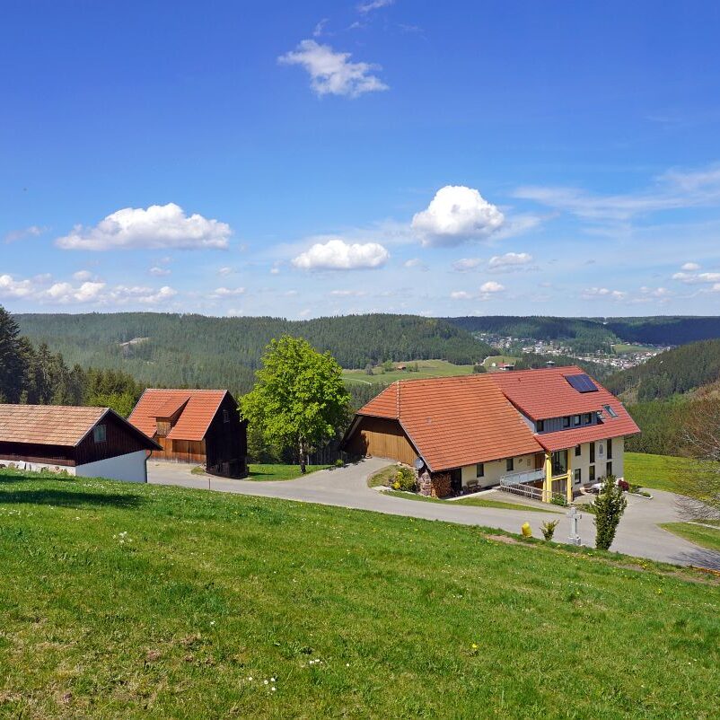 Hub Kohlwald Runde 8