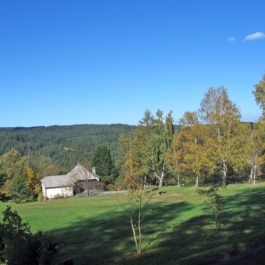 Hub Kohlwald Runde 9