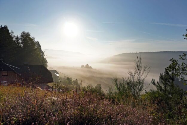 Morgennebel auf dem Berg 1
