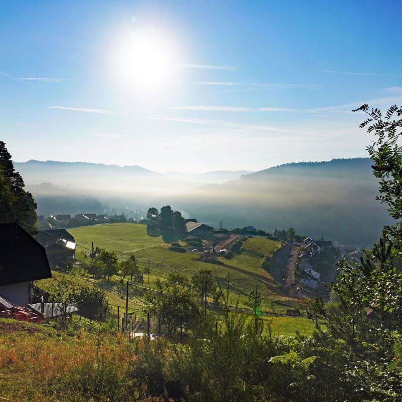 Morgennebel auf dem Berg 12