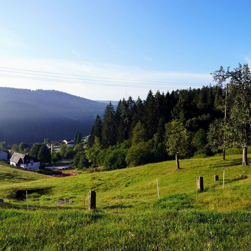 Morgennebel auf dem Berg 17