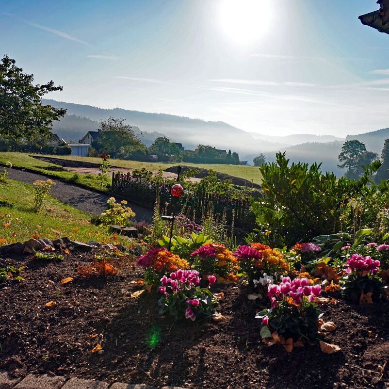 Morgennebel auf dem Berg 18