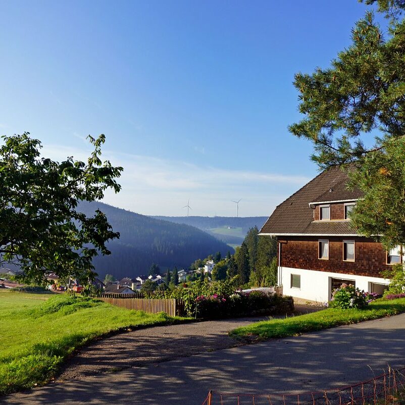 Morgennebel auf dem Berg 19