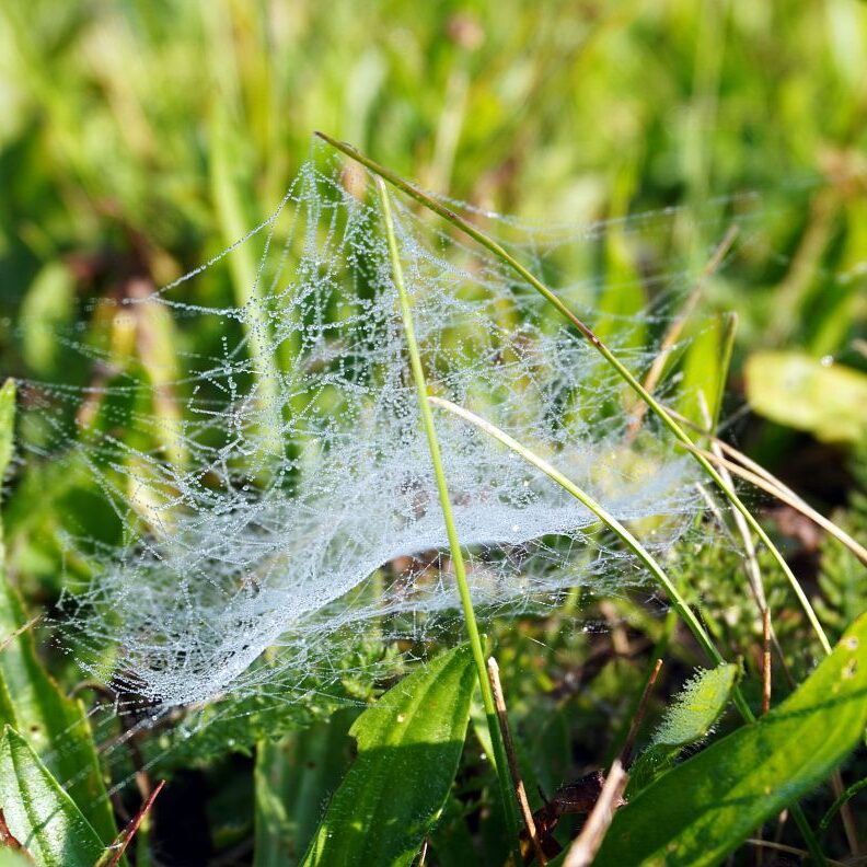 Morgennebel auf dem Berg 23