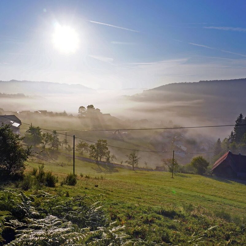 Morgennebel auf dem Berg 5
