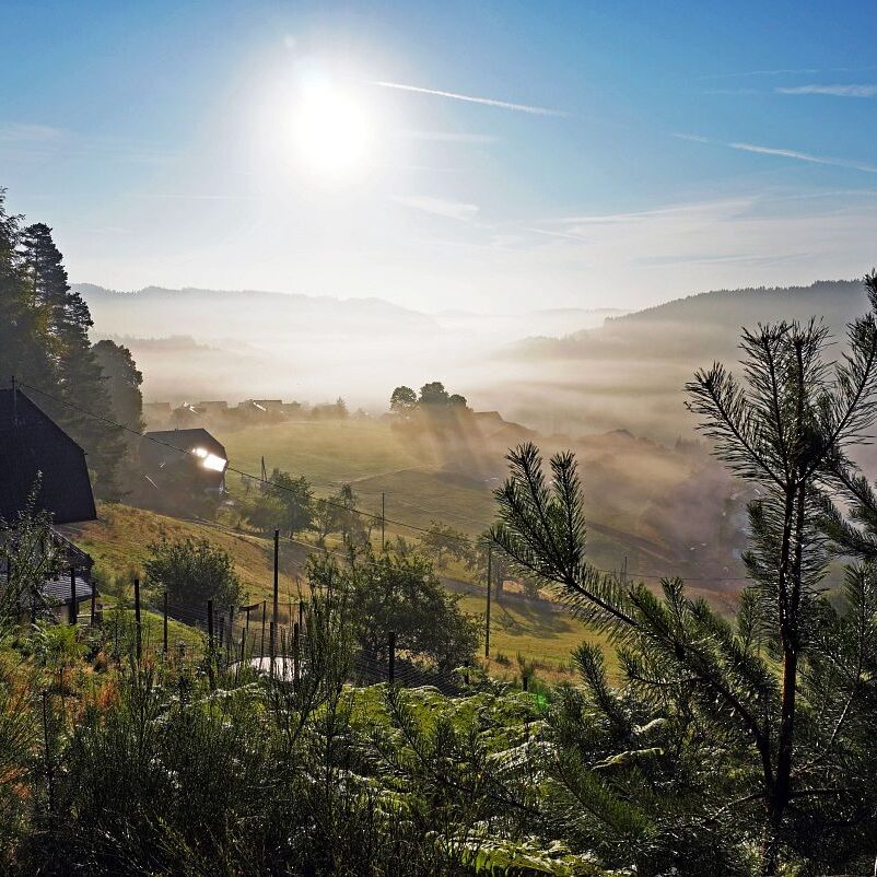Morgennebel auf dem Berg 6