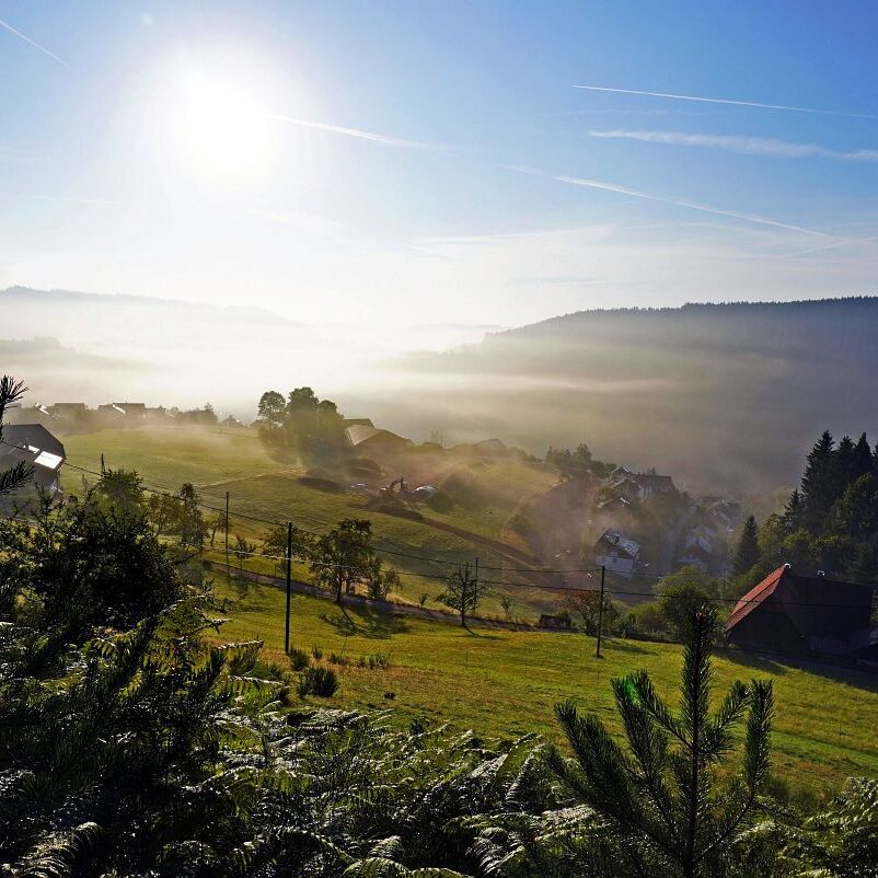 Morgennebel auf dem Berg 7