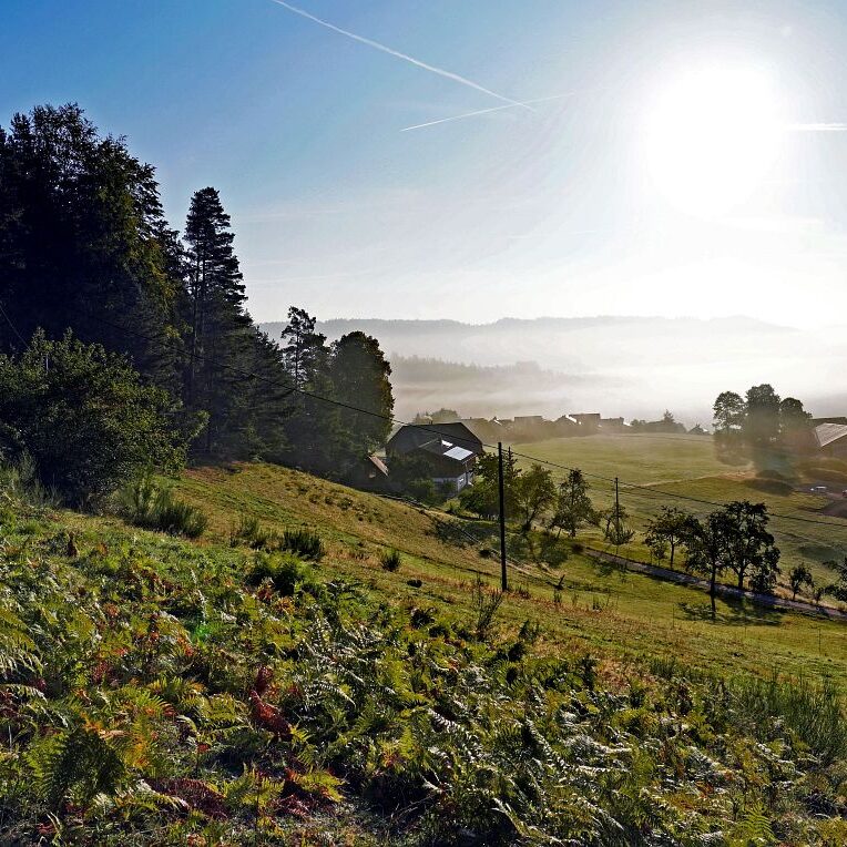Morgennebel auf dem Berg 8