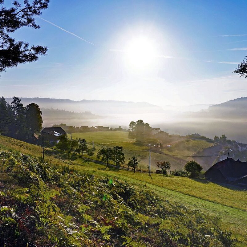 Morgennebel auf dem Berg 9