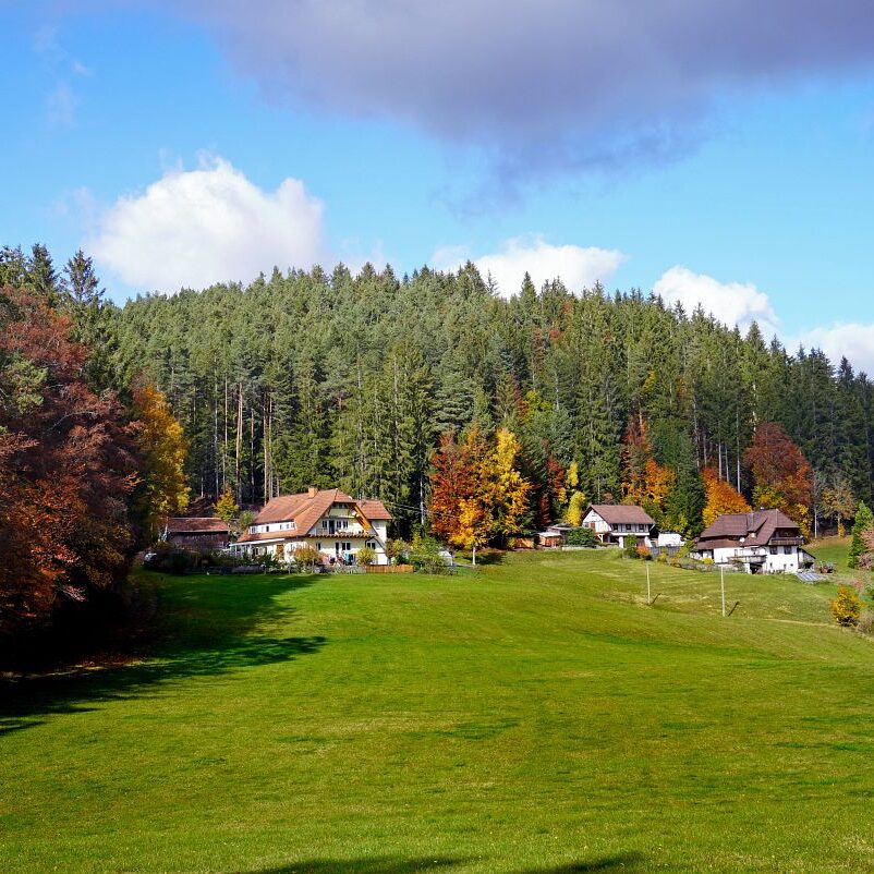 Herbst Tennenbronn Altenburg Mulpenbuehl Mittelberg 1