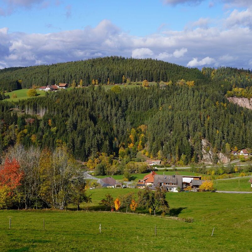 Herbst Tennenbronn Altenburg Mulpenbuehl Mittelberg 10
