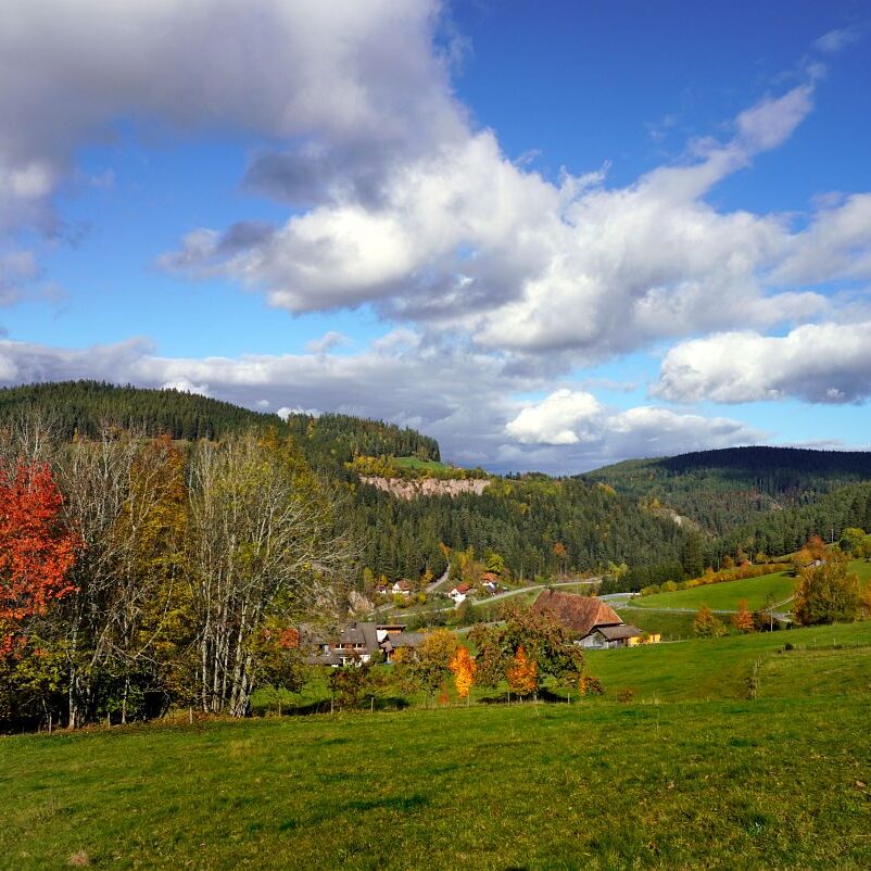 Herbst Tennenbronn Altenburg Mulpenbuehl Mittelberg 11