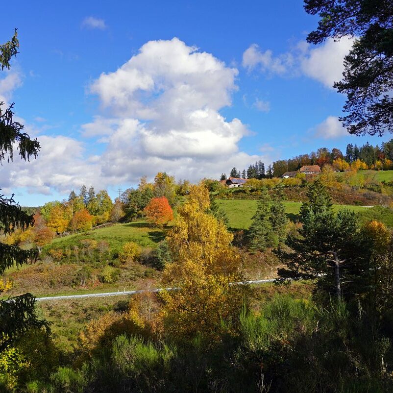 Herbst Tennenbronn Altenburg Mulpenbuehl Mittelberg 14